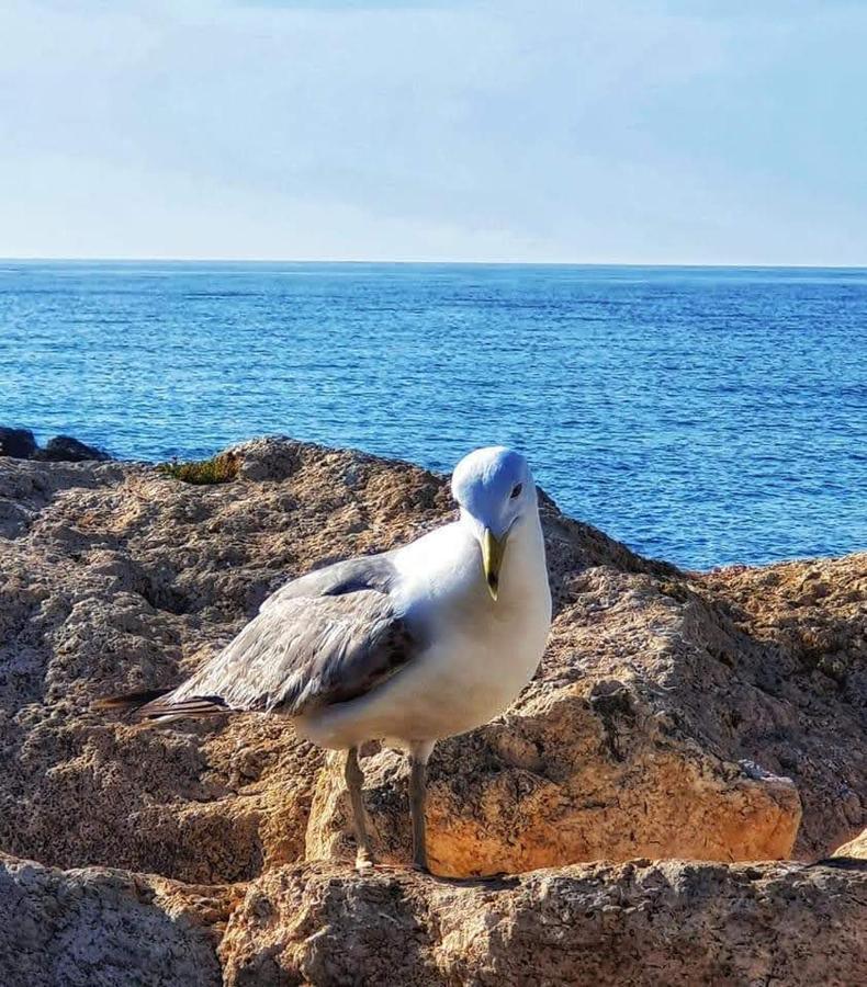 Cómodo apartamento cerca del mar Santa Pola Exterior foto